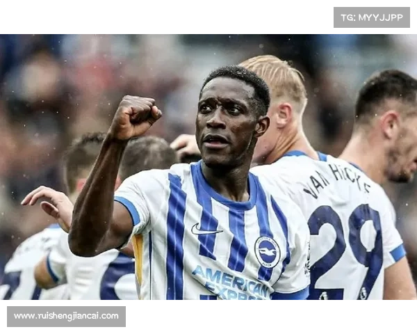 从文学形象与社会争议看如何理解维尔贝克黑贝这一称号的深层意涵 从文学形象与社会争议看如何理解维尔贝克黑贝这一称号的深层意涵